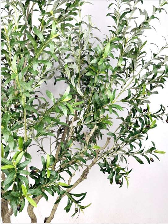 Olivo artificial H250 cm
