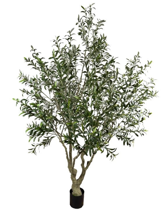 Olivo artificial H250 cm