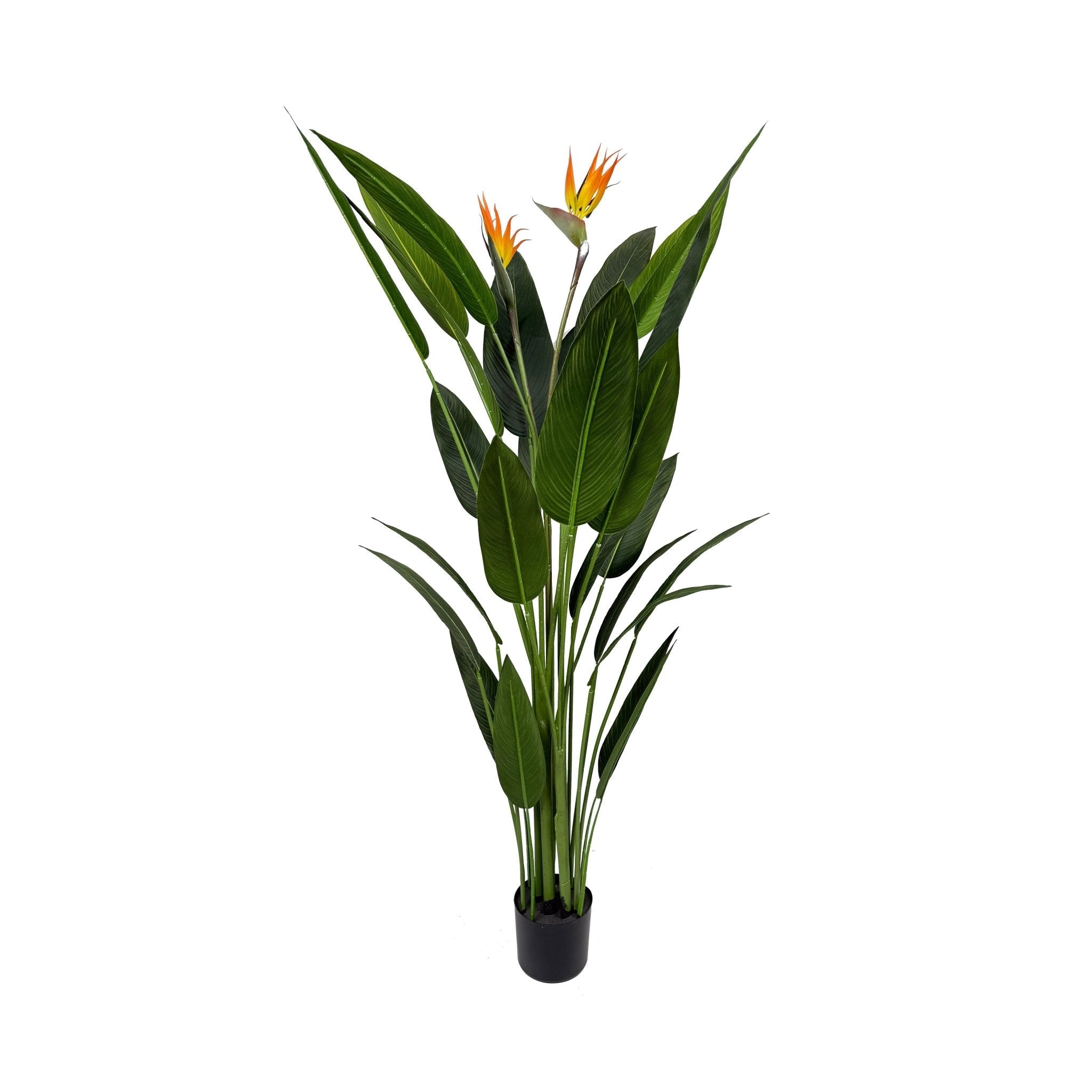 Planta artificial Ave del paraíso H140/160/180 - Vintahome