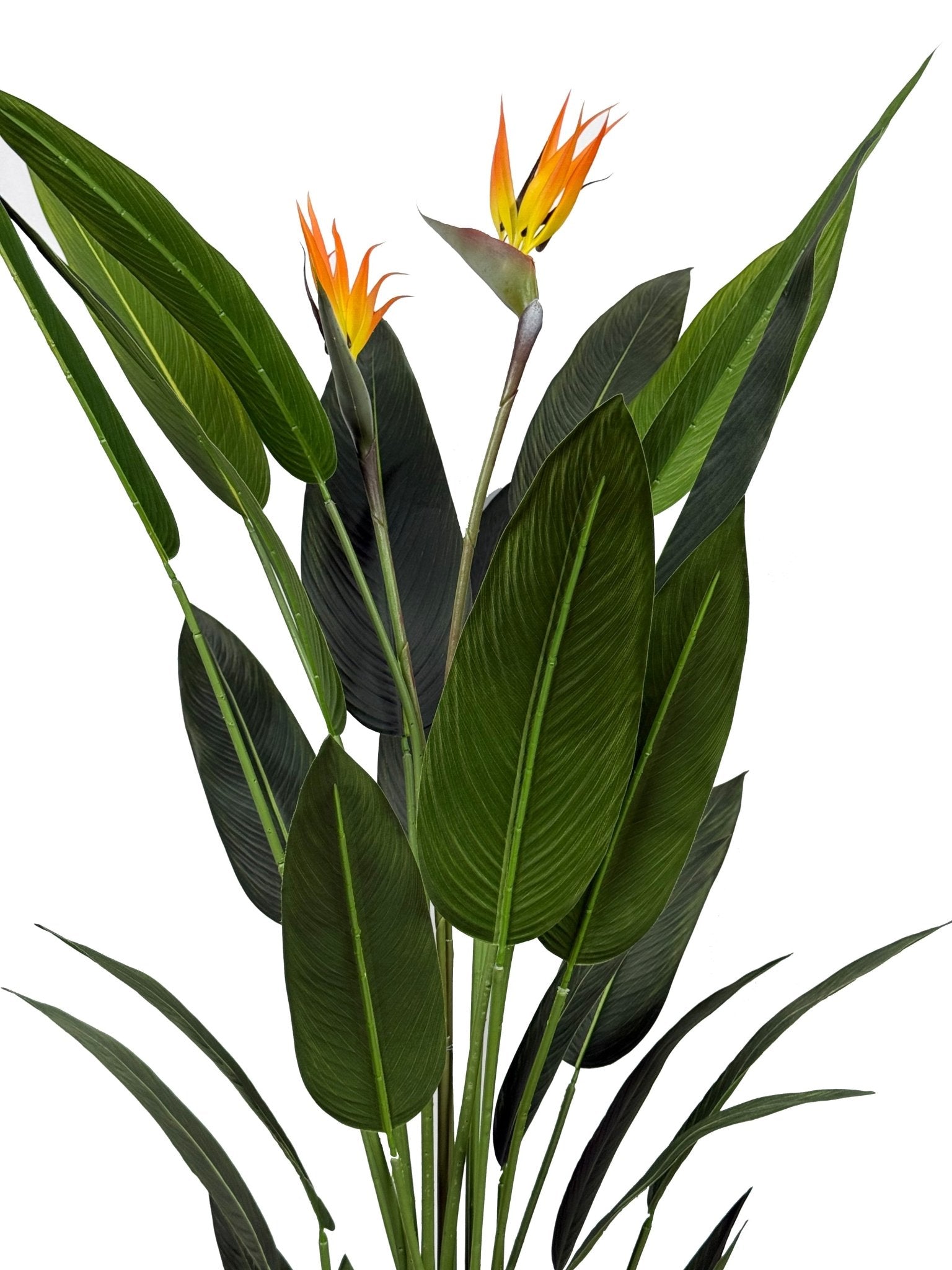Planta artificial Ave del paraíso H140/160/180 - Vintahome
