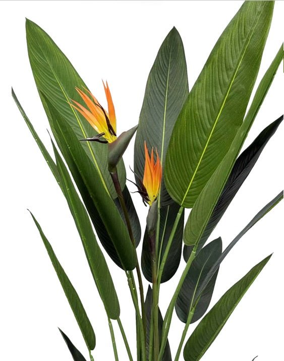 Planta artificial Ave del paraíso H140/160/180 - Vintahome