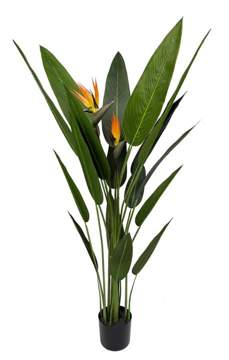 Planta artificial Ave del paraíso H140/160/180 - Vintahome
