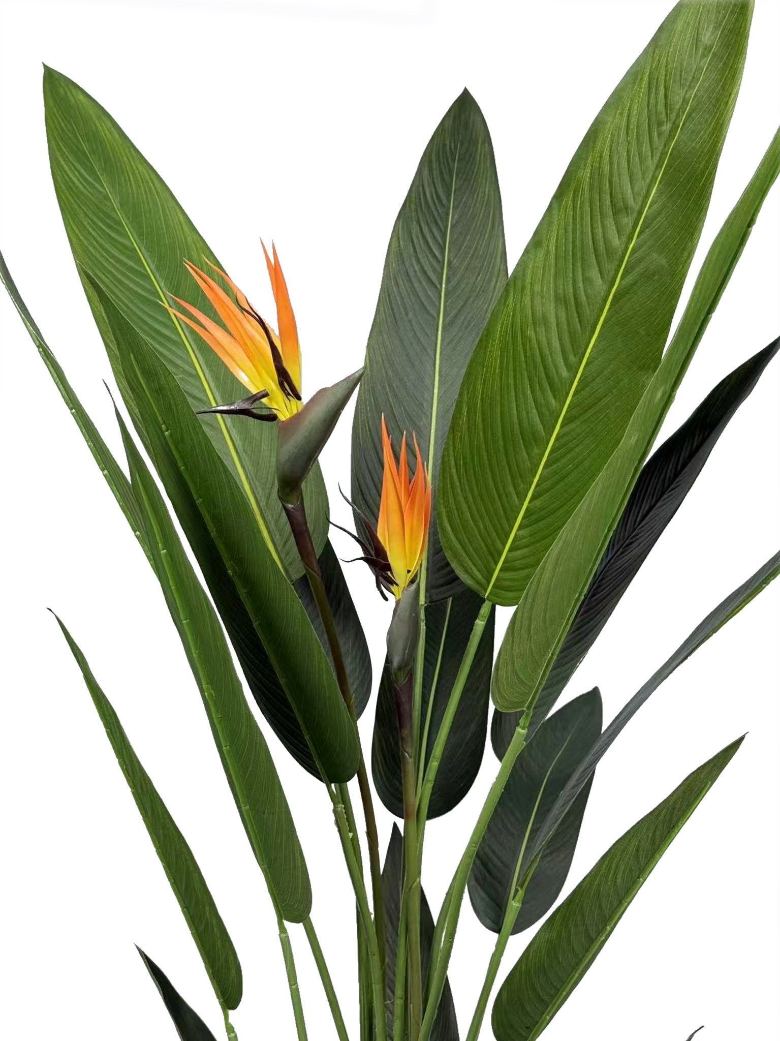 Planta artificial Ave del paraíso H140/160/180 - Vintahome