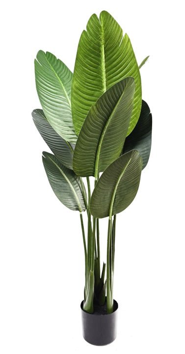 Planta artificial banana viajera H120 - Vintahome