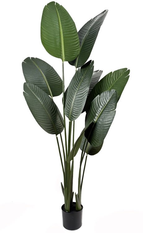 Planta artificial banana viajera H160 - Vintahome