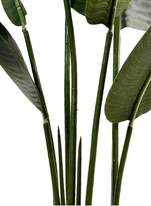 Planta artificial banana viajera H160 - Vintahome