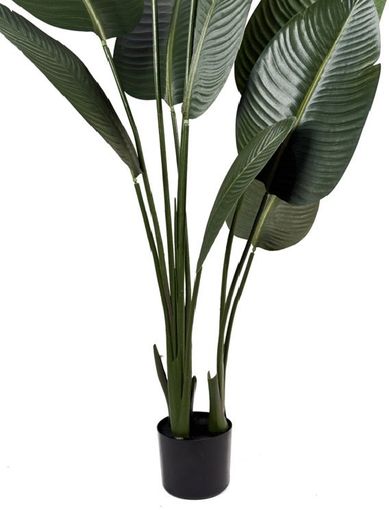 Planta artificial banana viajera H160 - Vintahome