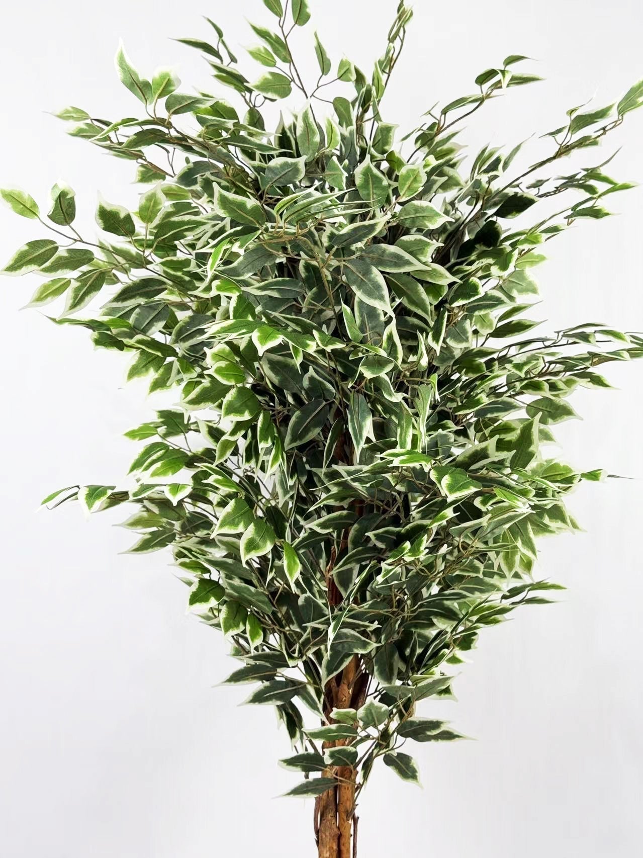 Planta artificial Ficus variegata H180 - Vintahome
