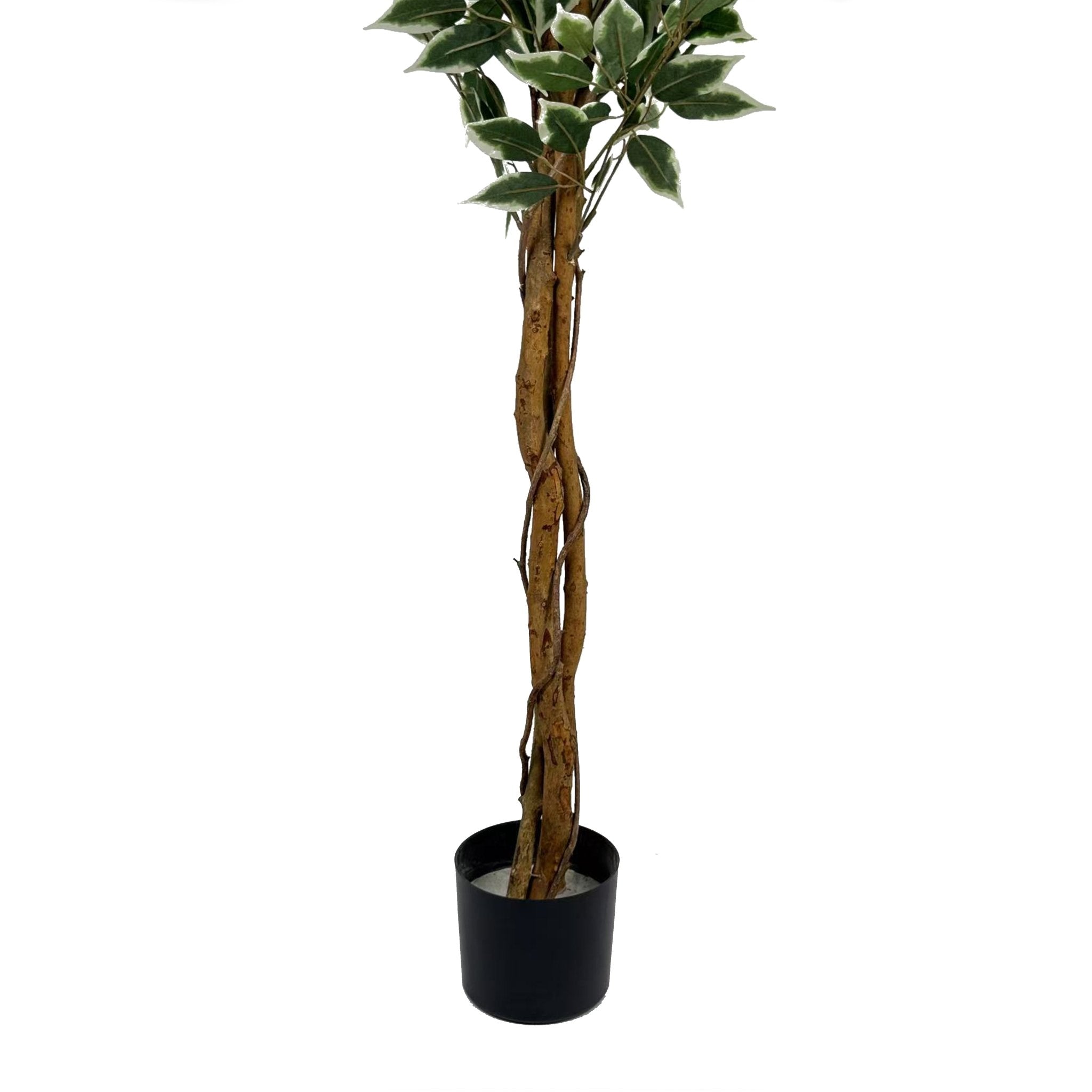 Planta artificial Ficus variegata H180 - Vintahome