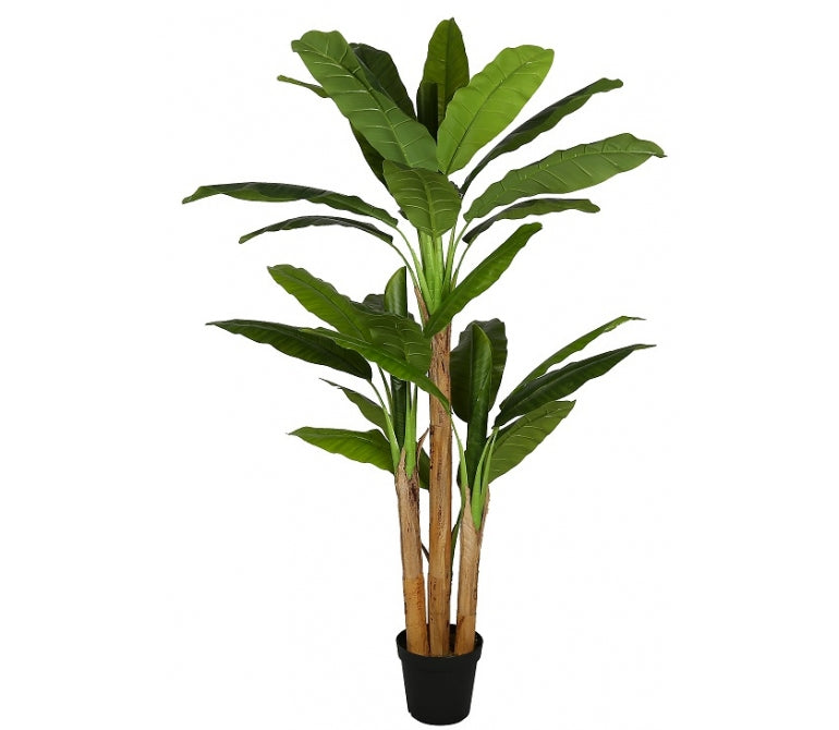 Planta artificial Bananera H.190 cm