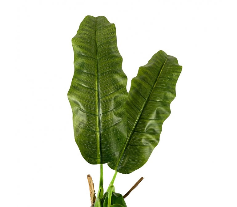 Plante Banane Artificielle H.205 cm