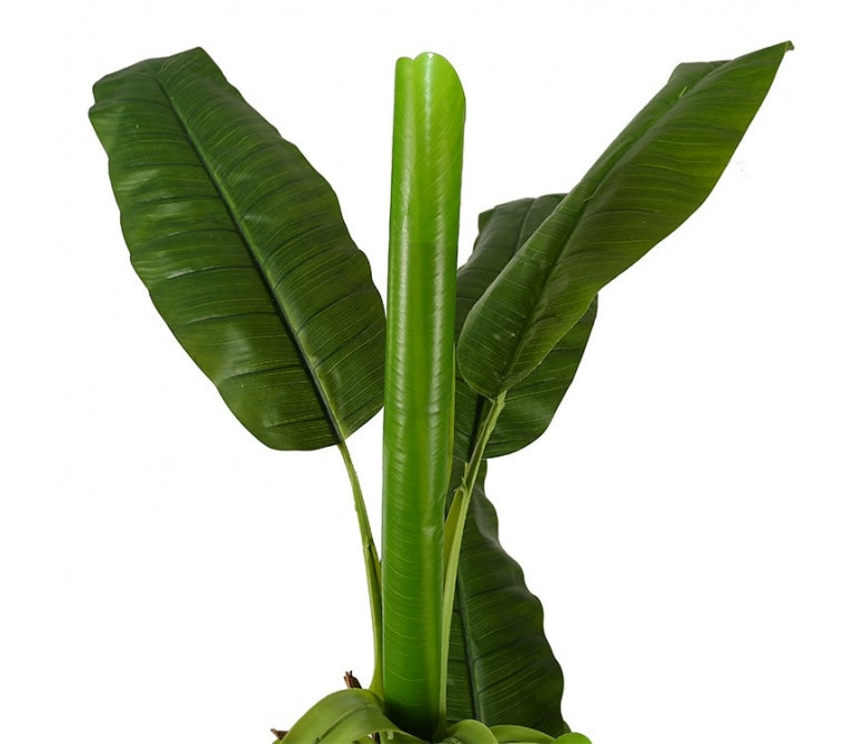 Plante Banane Artificielle H.205 cm