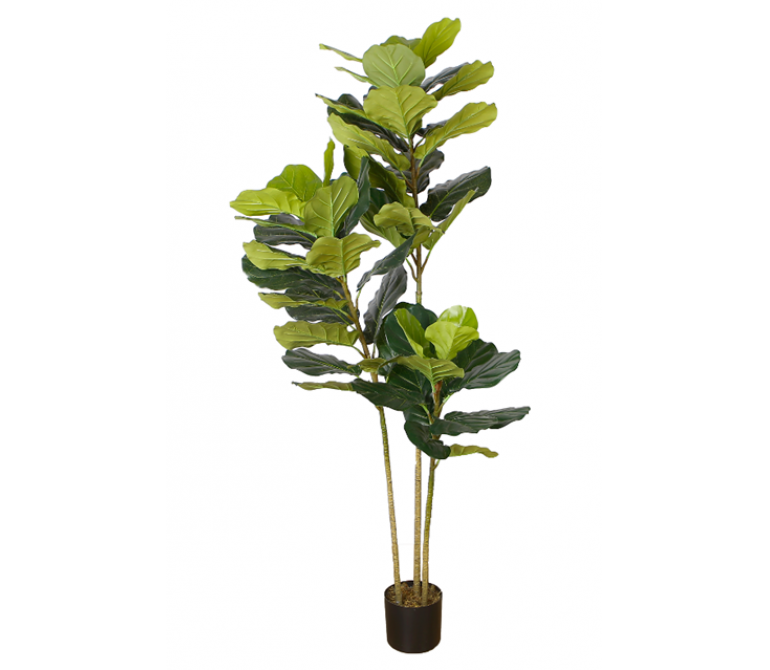Plante artificielle Arbre à feuilles H.175 cm