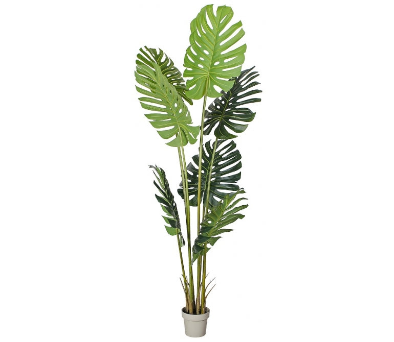 Plante artificielle Monstera H.230 cm