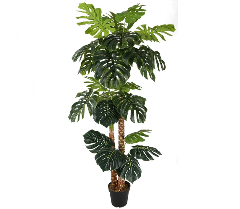 Plante artificielle Monstera H.220 cm