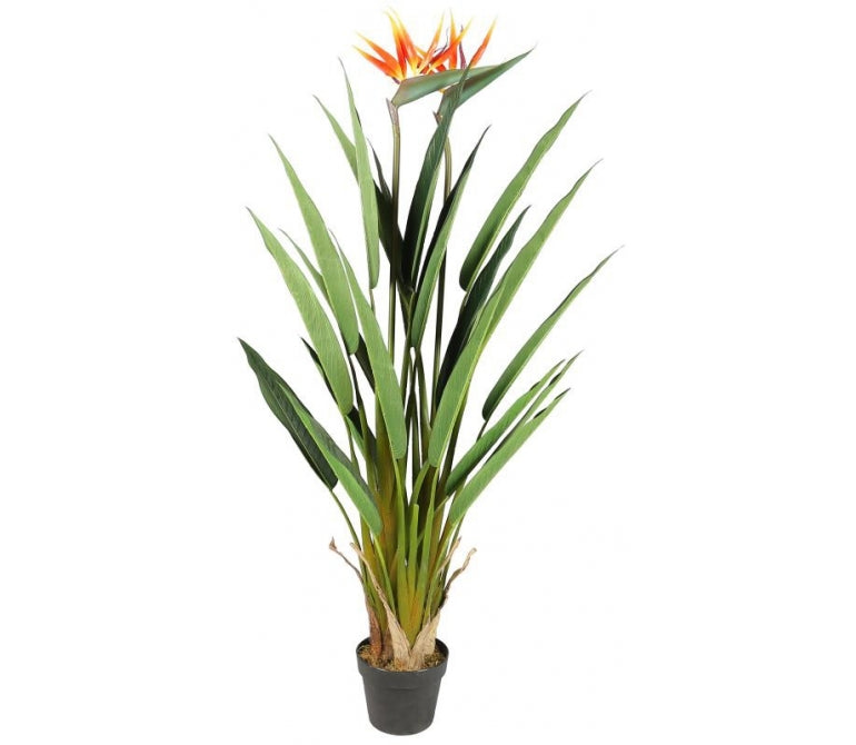 Plante artificielle Oiseau de paradis H.135 cm