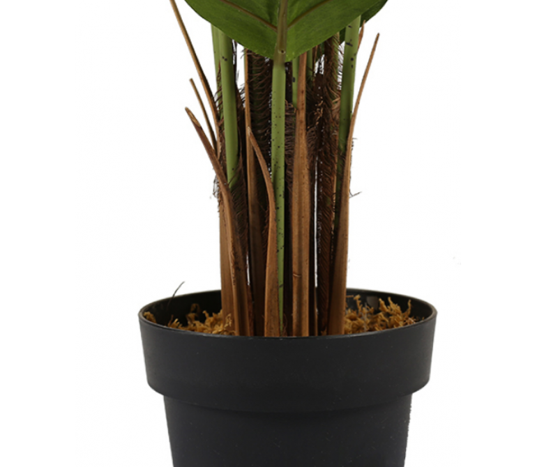 Plante artificielle Spathphyllum H.180 cm