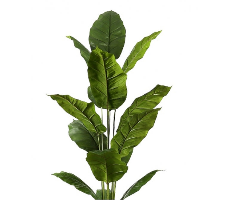 Planta artificial Spathphyllum H.180 cm