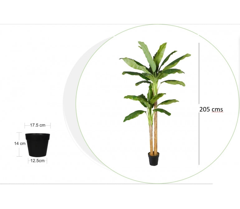 Plante Banane Artificielle H.205 cm