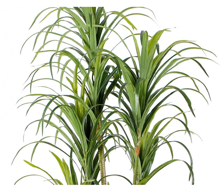 Plante artificielle Yucca H180