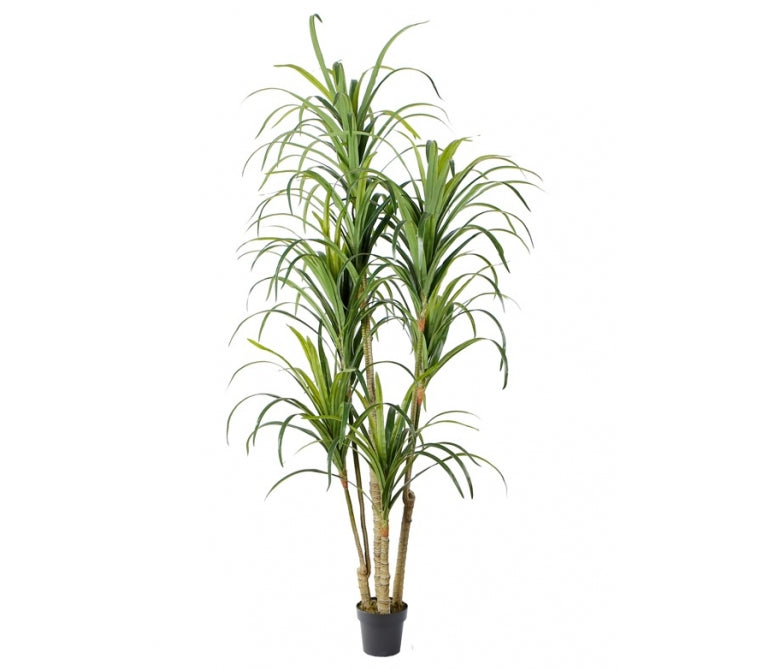 Plante artificielle Yucca H180