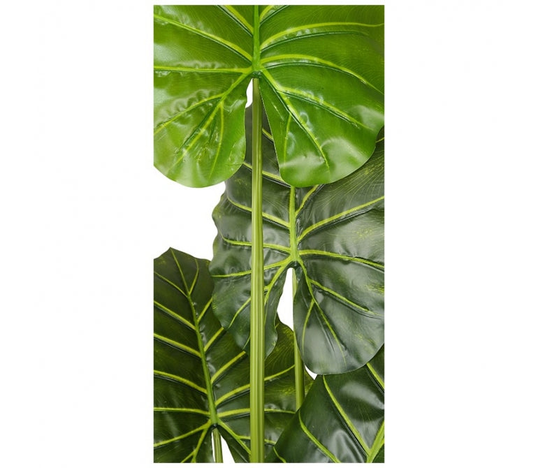 Plante artificielle Alocasia H.210 cm