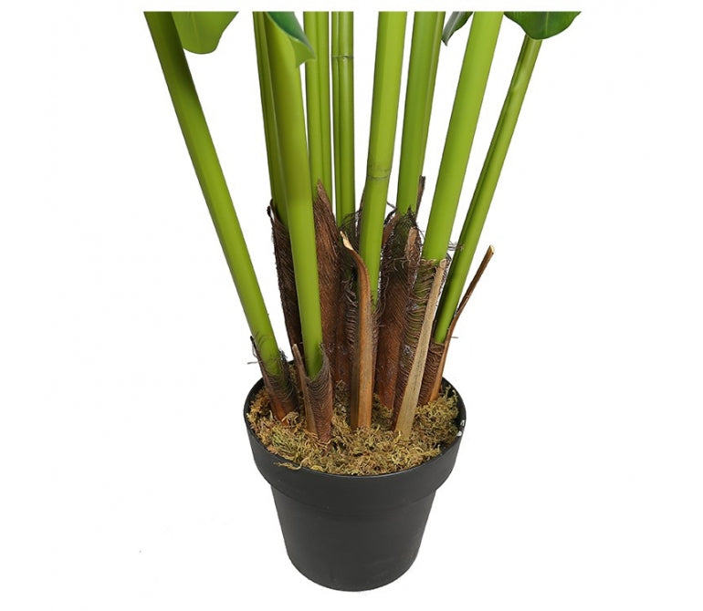 Planta artificial Alocasia H.210 cm