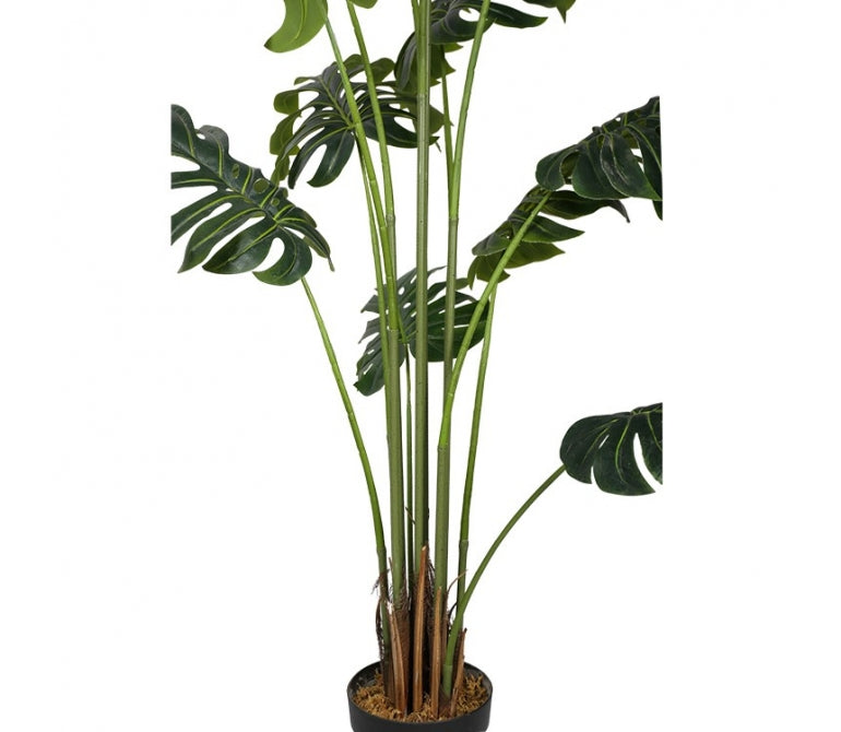 Plante artificielle Monstera H.180 cm