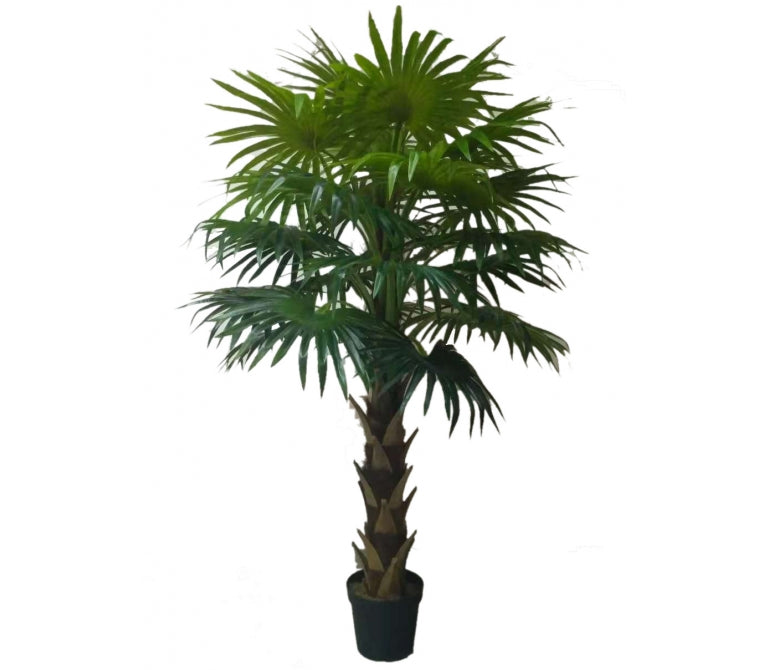 Plante artificielle Palmier éventail H.180 cm