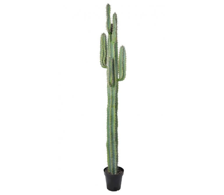 Pianta artificiale Cactus Saguaro H.210 cm