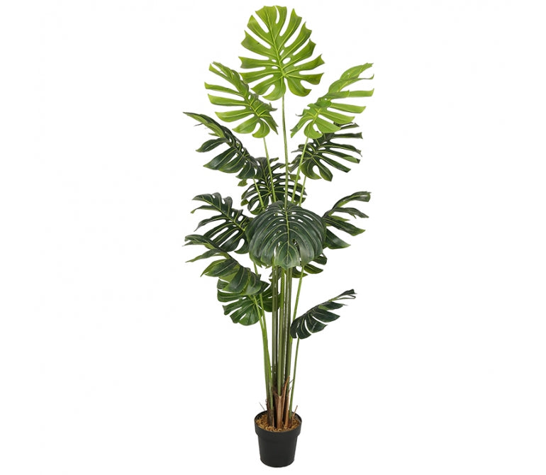 Plante artificielle Monstera H.180 cm