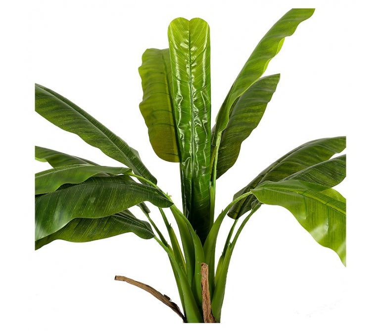 Planta artificial Bananera H.205 cm