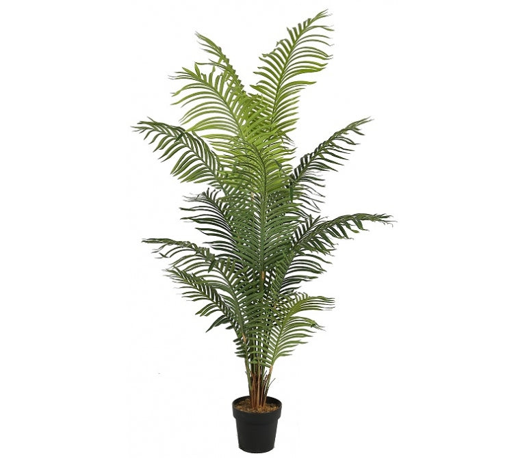 Kunstplant Hawaii Palm H.200 cm