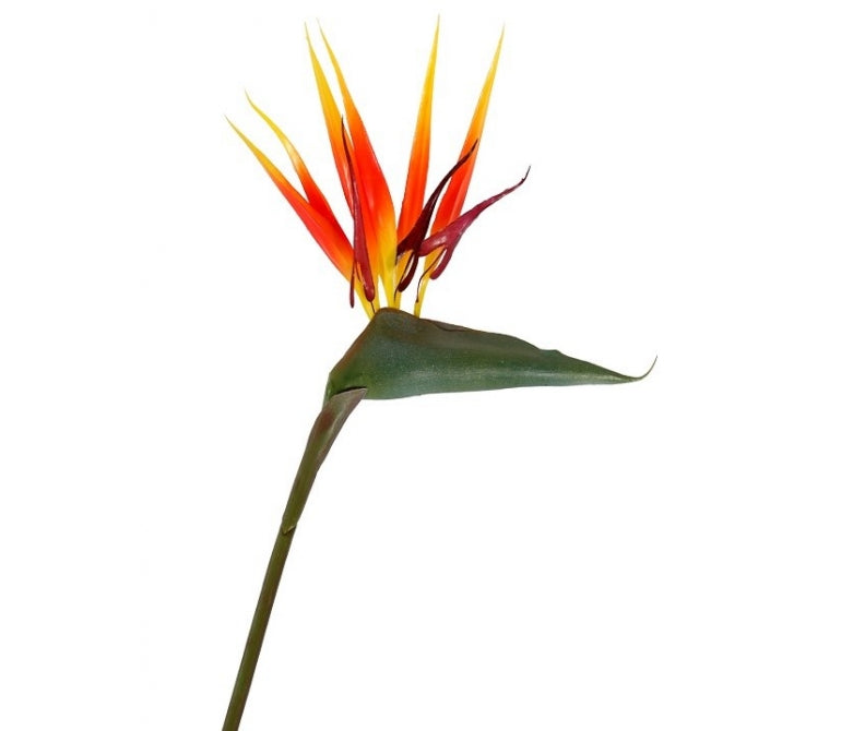 Plante artificielle Oiseau de paradis H.135 cm