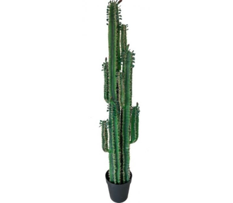 Kunstmatige Cactus H200