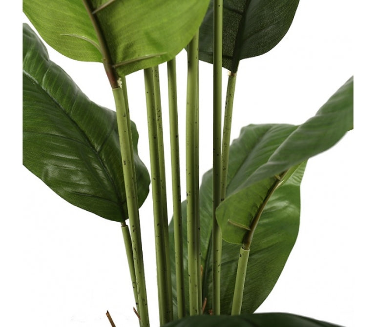 Kunstplant Spathphyllum H.180 cm