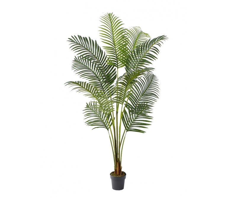 Kunstmatige Hawaiiaanse Palm Groot Blad H150