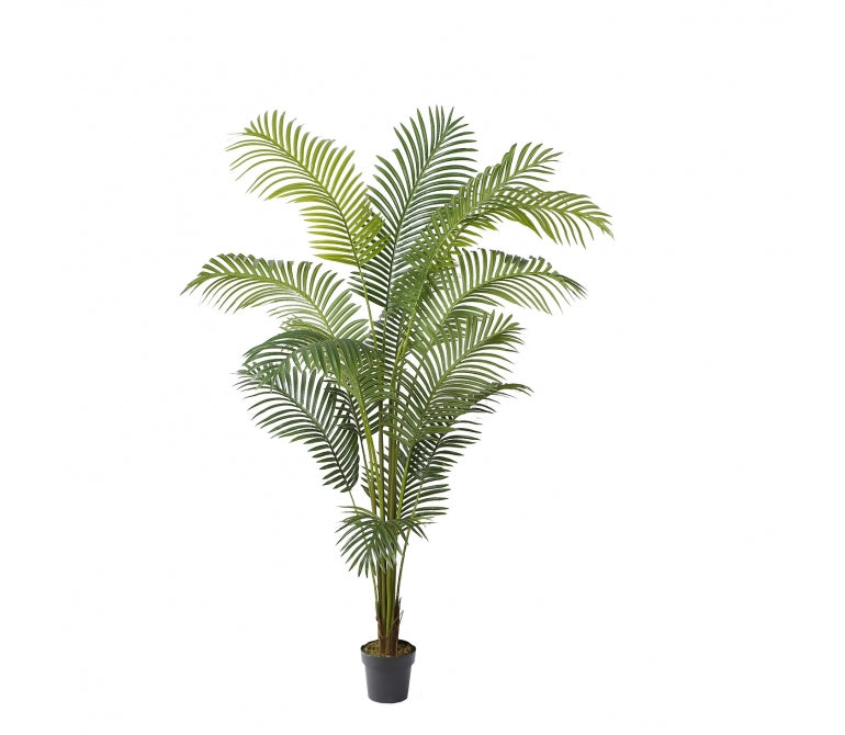 Kunstmatige Hawaiiaanse Palm Groot Blad H180