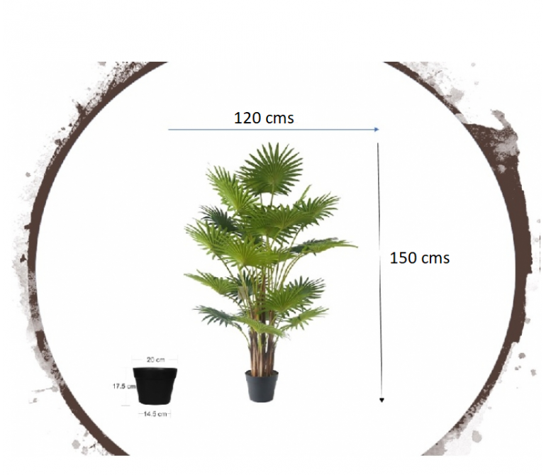 Plante artificielle Palmier éventail H.150 cm