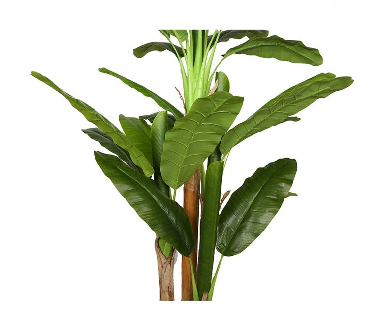 Planta artificial Bananera H.190 cm