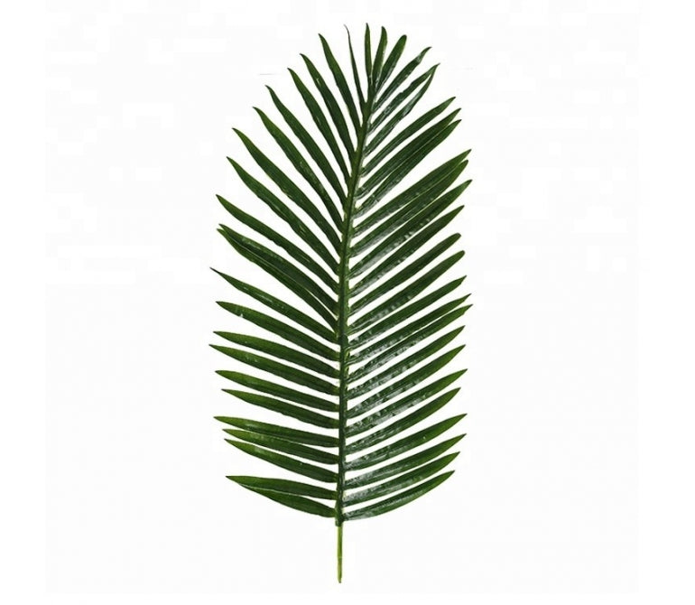 Pianta artificiale Palma delle Hawaii H.200 cm