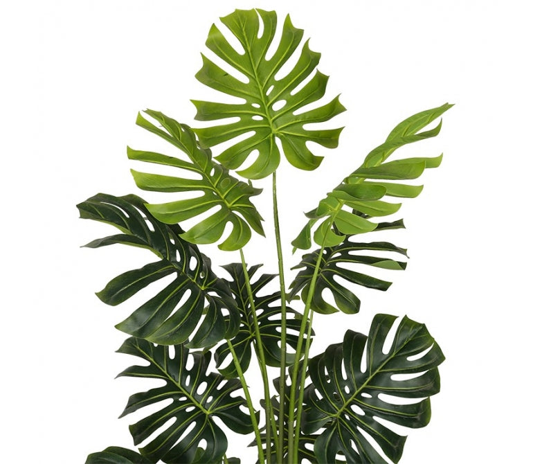 Planta artificial Monstera H.180 cm