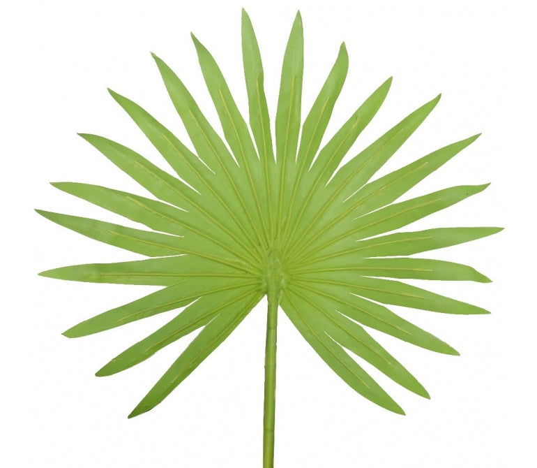 Plante artificielle Palmier éventail H.160 cm