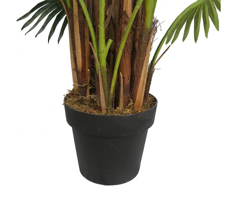 Plante artificielle Palmier éventail H.160 cm